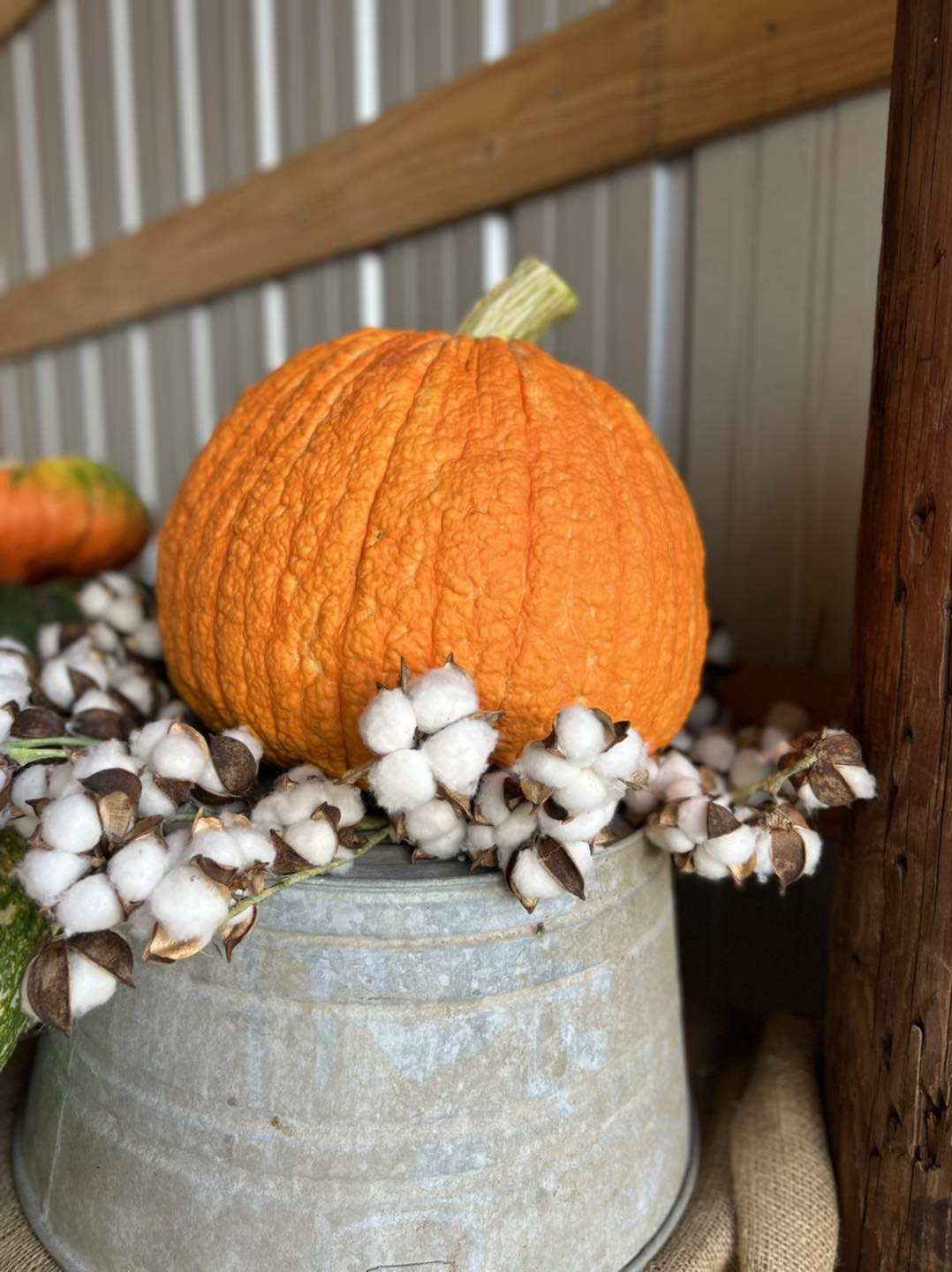 Bunn Family Farms