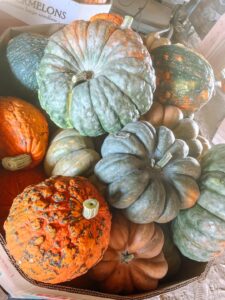 Knucklehead pumpkin with textured skin at Bunn Family Farms in Spring Hope, NC