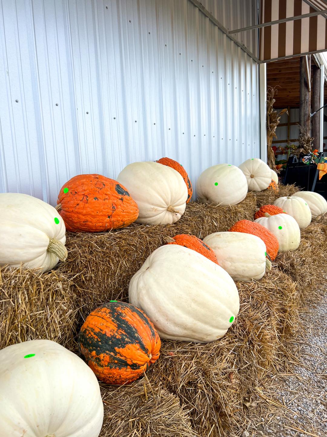 Family-owned farm in Spring Hope, NC - welcome to Bunn Family Farms